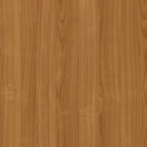 Вишня Балатон