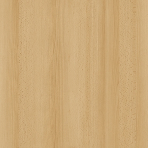 Бук Светлый