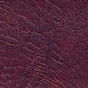 Вишня (Боди)