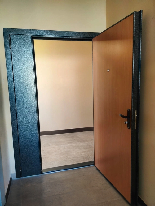 Дверь для тамбура (порошок и ламинат)