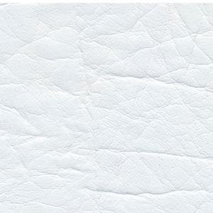 Белый (Кенвуд)