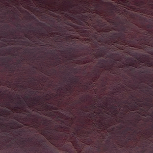 Вишня (Венеция)