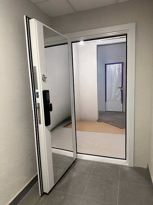 Дверь со smart-замком и зеркалом