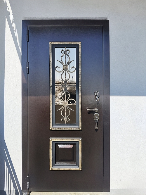 Дверь с окном и ковкой