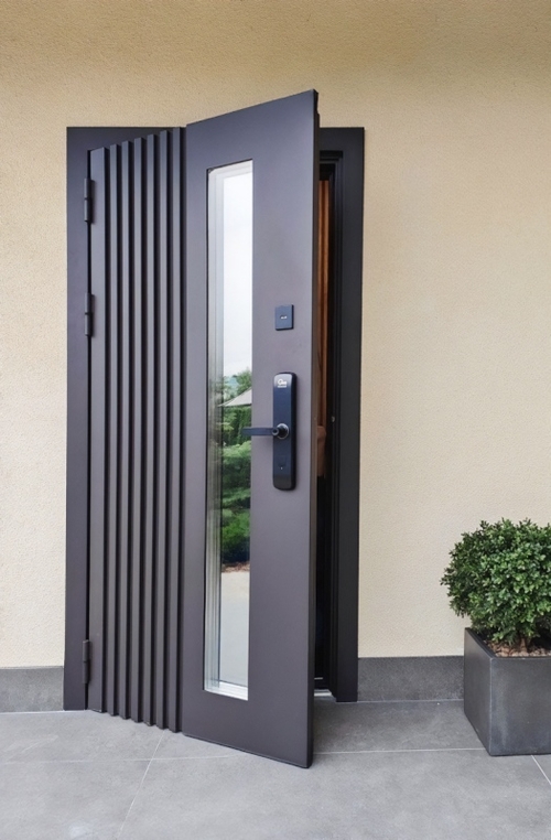 С биометрическим замком