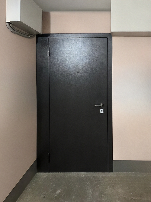 Порошковая дверь