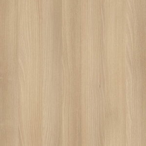 Акация Лорка