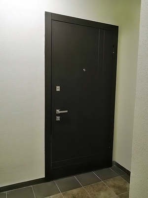 Фото двери для квартиры