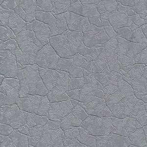 Крокодил серый