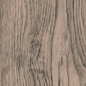 Ореховый дубослив